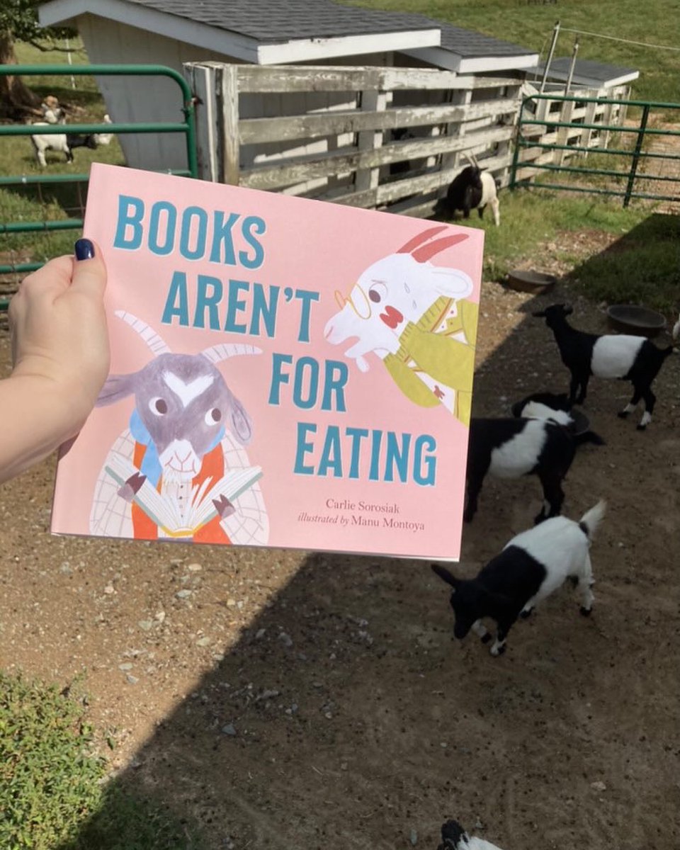 carliesorosiak's tweet image. BOOKS AREN’T FOR EATING… with the bookstore goats who inspired BOOKS AREN’T FOR EATING! A full-circle moment. Thanks to Johanna at @mcibooks for the pictures! 🐐💚📚