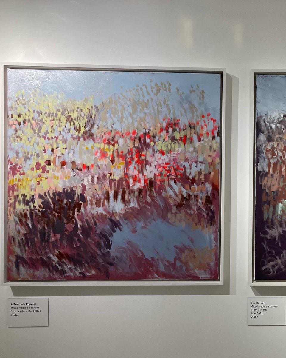 Claire Oxley exhibition at Skippings this week