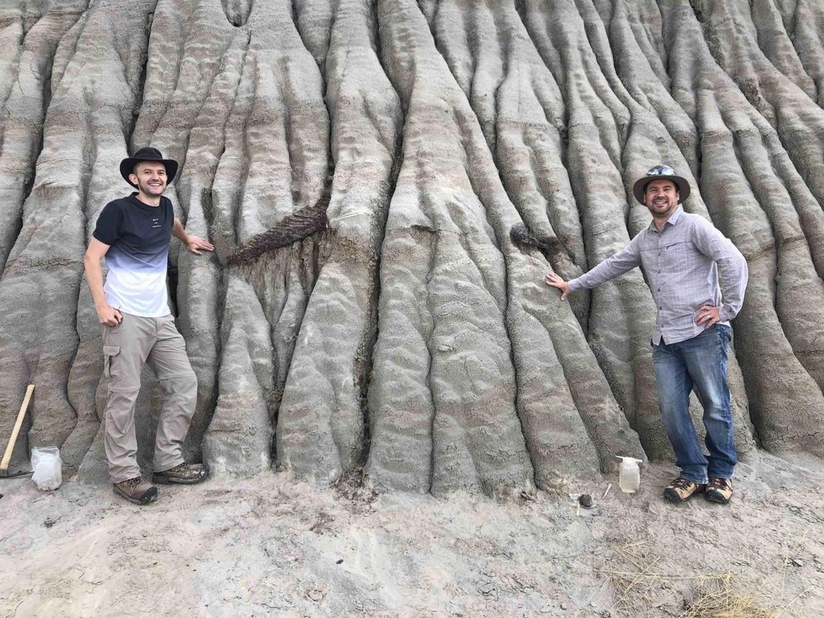 DeArcheoloog's tweet photo. Paleontologen in #Canada denken dat ze een volledig #dinosaurusskelet hebben gevonden, inclusief fossiele huid. Het gaat om een skelet van een #Hadrosaurus, een grote planteneter met een eendenbek, die zo'n 77 tot 75 miljoen jaar terug leefde.
https://t.co/Lb1kmev1W9 https://t.co/svKTzzxiKn