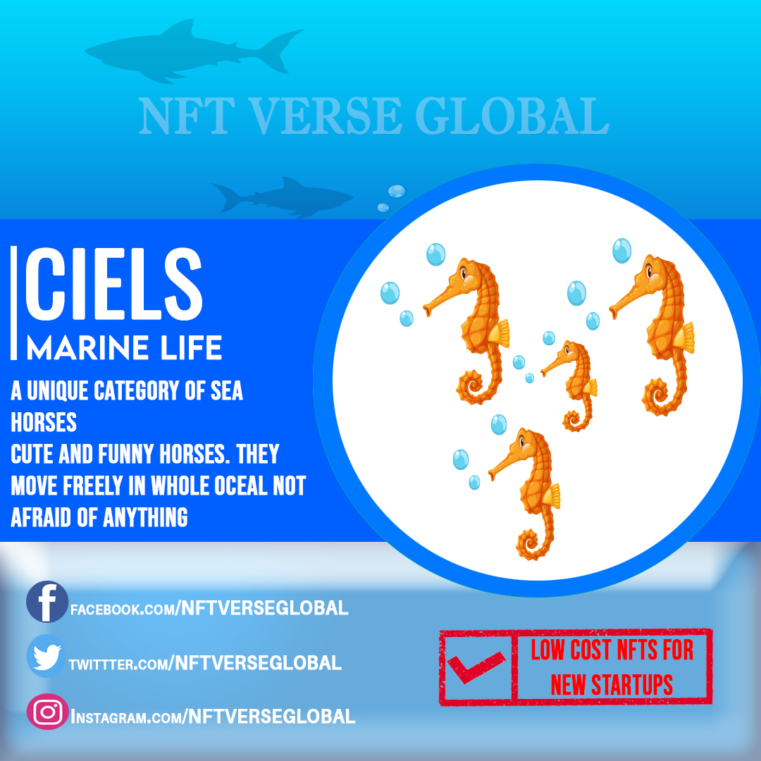BajwaTech's tweet photo. Hello everyone,
Meet the new member of our Marine life series. These are CEILS. CEILS are a group of Sea Horses. These are also rare and found in deep ocean. 
If you want to be owner of a CEIL then click on this link:
https://t.co/FRJVaqTJ80
#ceils https://t.co/1siWp8bAzW