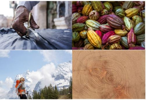 Jointly with <a href="/globalcompact/">UN Global Compact</a> and <a href="/Helvetas/">Helvetas</a>, <a href="/ITC_sustainable/">ITC Sustainability</a> trained #SIPPO staff in🇨🇴🇵🇪🇹🇳🇲🇦🇦🇱🇧🇦🇷🇸🇲🇰🇿🇦 🇮🇩🇻🇳 on international frameworks, regulations and voluntary standards in #textiles #Food  #naturalingredients #wood &amp; #tourism. 

Knowledge will be transferred to 40+ BSOs!