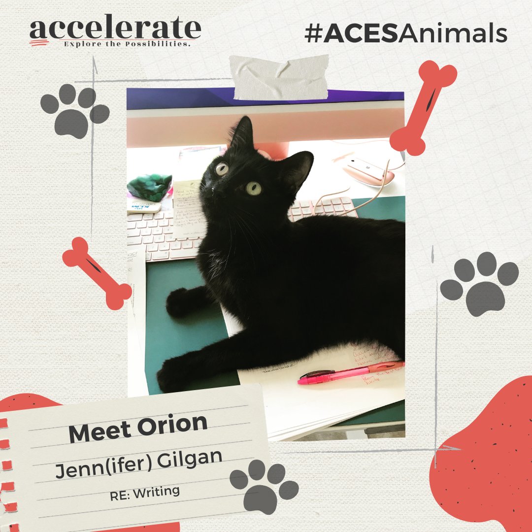 j_a_gilgan's tweet photo. Orion loves technology and the great sessions at #ACESAccelerate #ACESAnimals https://t.co/uBRKTVvr5C