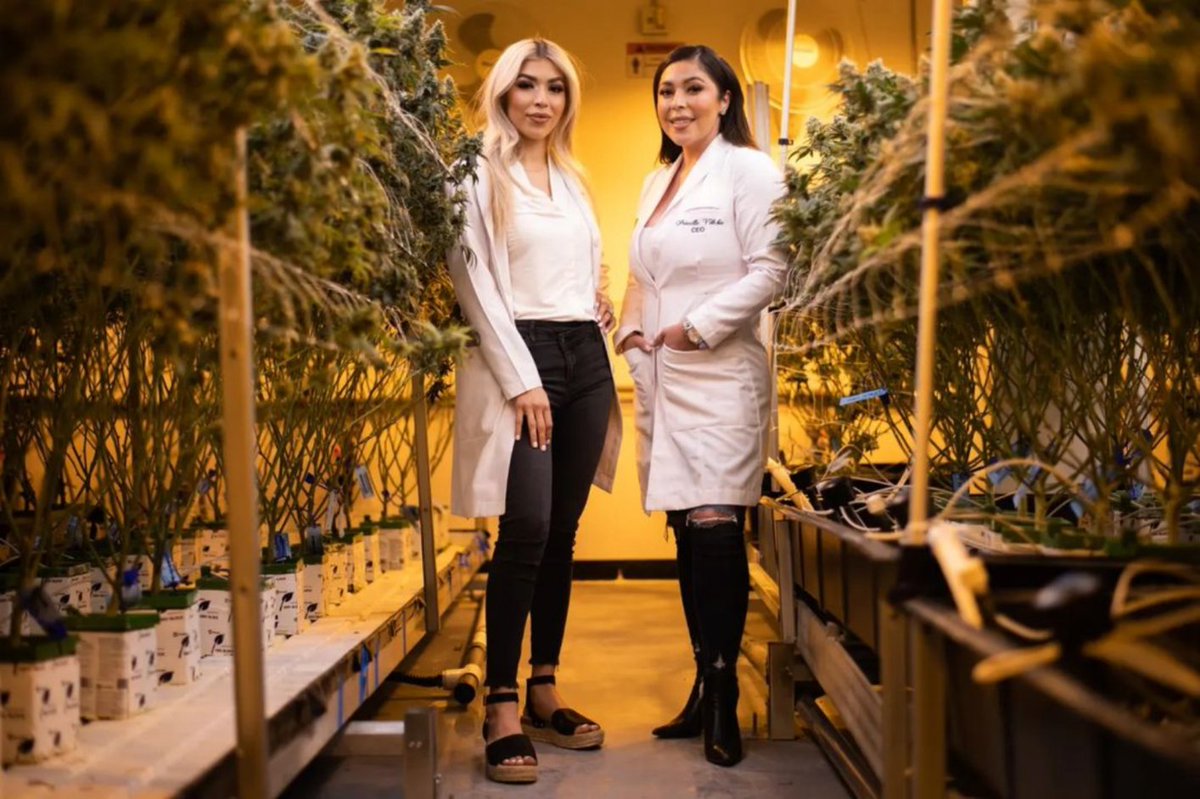 Celebrating National Hispanic Heritage Month by celebrating the achievements of Priscilla Vichilis and her impact in the Las Vegas Cannabis Community with @officialreinalv! 🌱 #Hawthorne360 Learn more: spr.ly/6012MpN2q