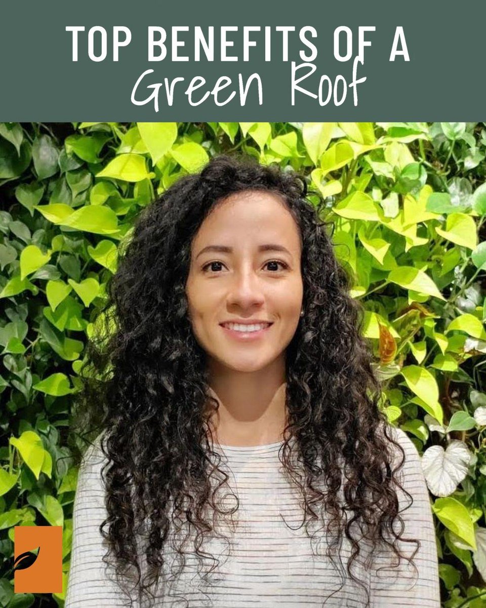 synkd_landscape's tweet photo. Top 9 Benefits of green roofing with Angie Mims. Find out more: https://t.co/NF29roCkog
#greenthumb #greennature #greenlifestyle #greengoodness #naturelovers #roofingculture #naturallandscapes #greenroof #readmore #landscapedesigner #landscapearchitect #landscapeartist #synkd https://t.co/4vxU2V8lJ6