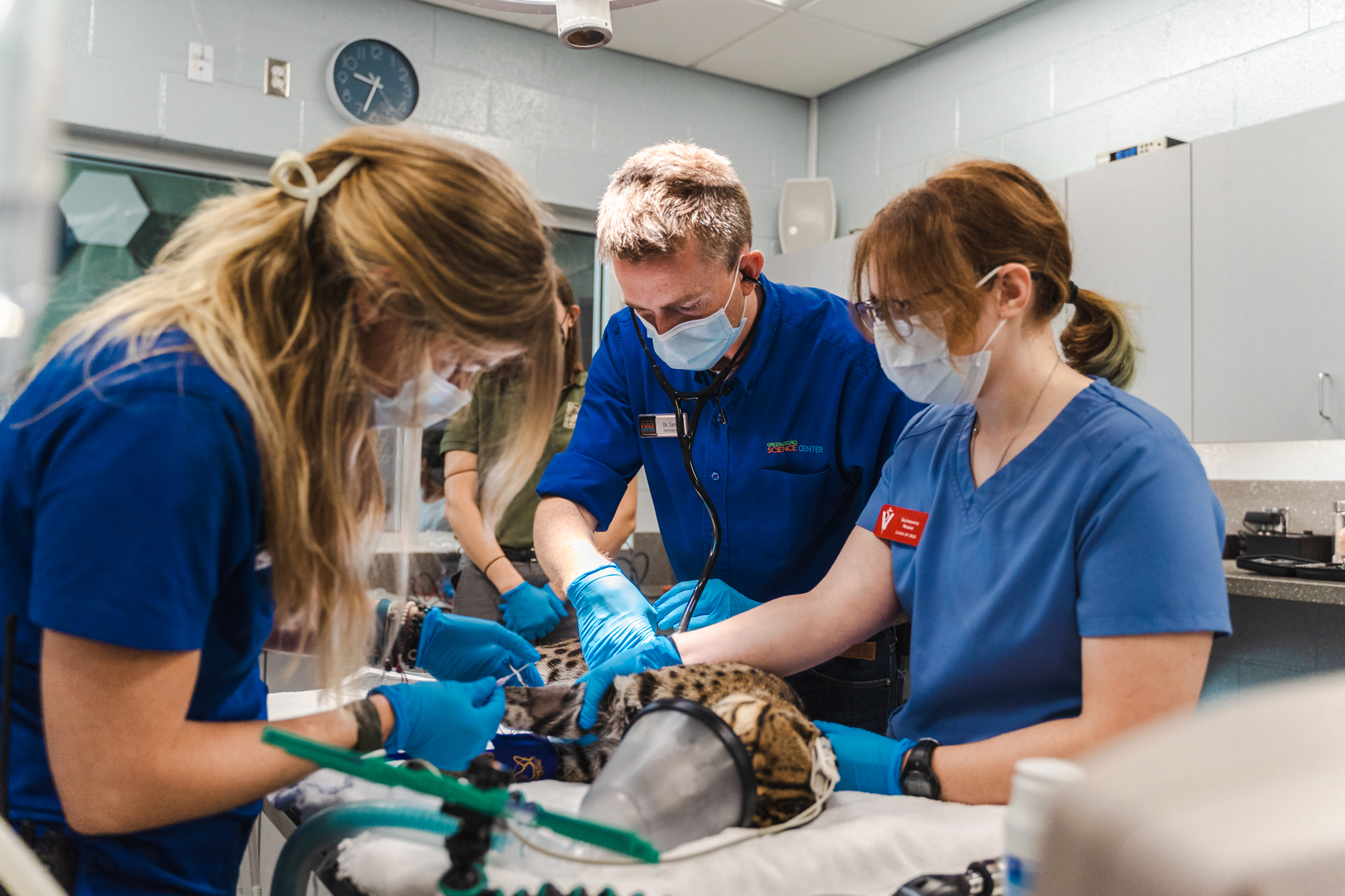 Greensboro Science Center on Twitter "Visit the link below to join Dr