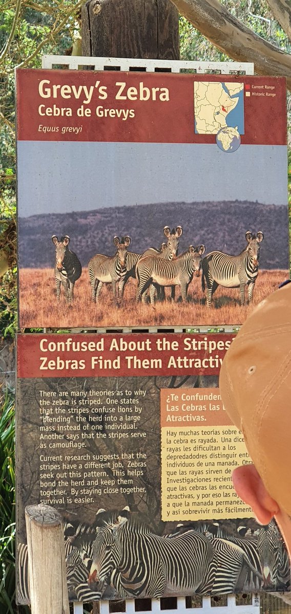 The Stupendium tweet media