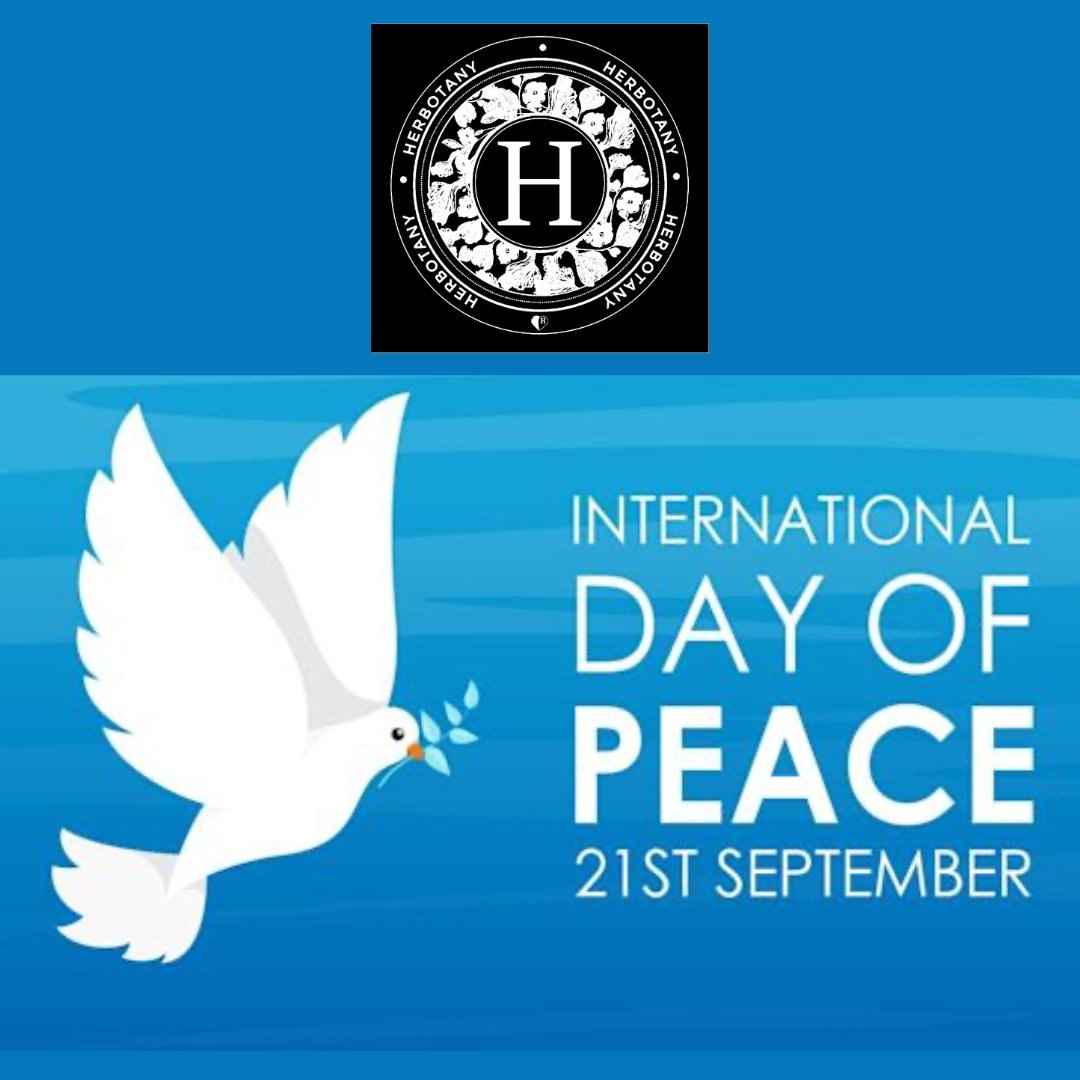 Happy International Day of Peace 2022 🕊

#internationaldayofpeace2022 #peace #herbotanyhealth