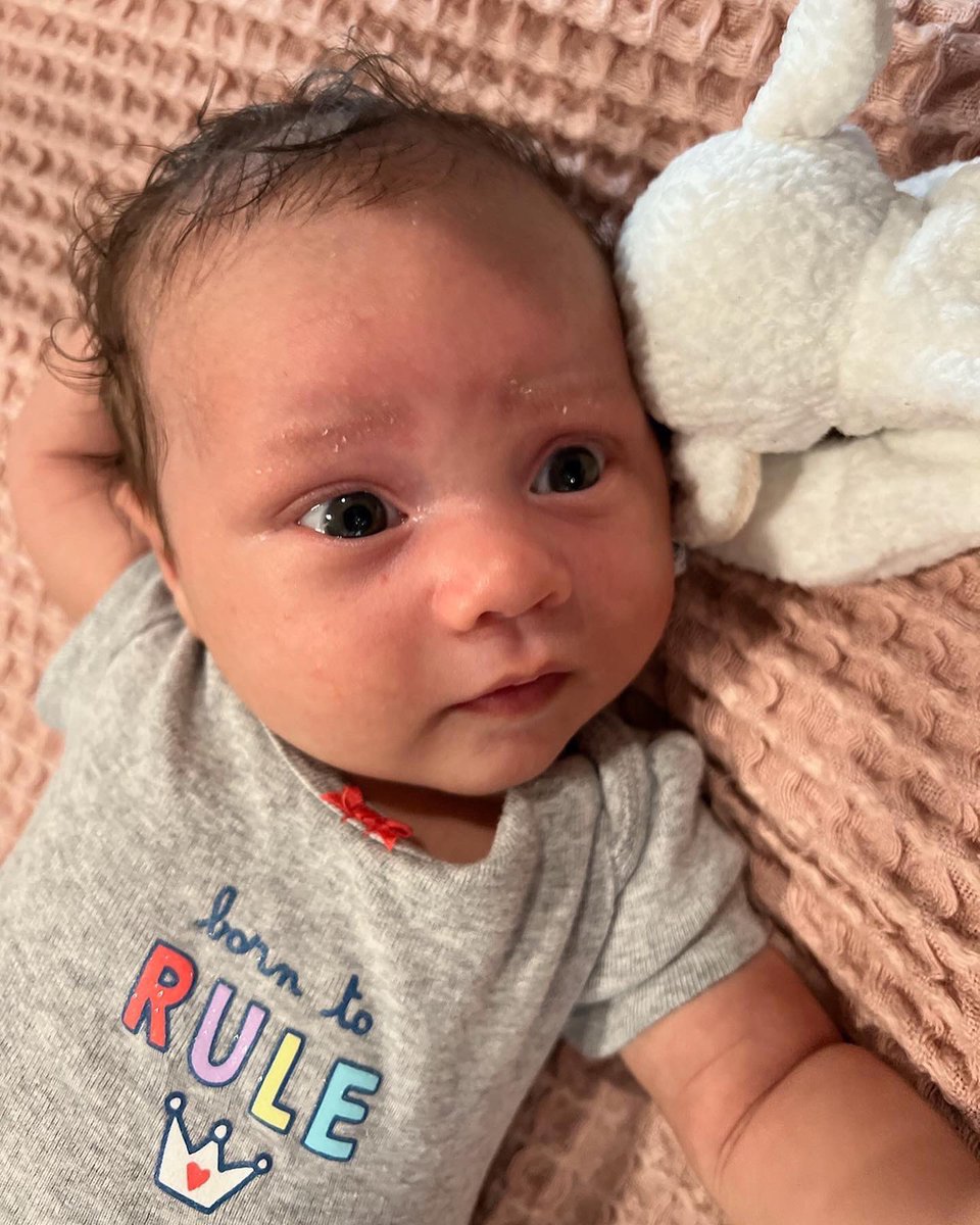 Sarah Puglisi tweet media