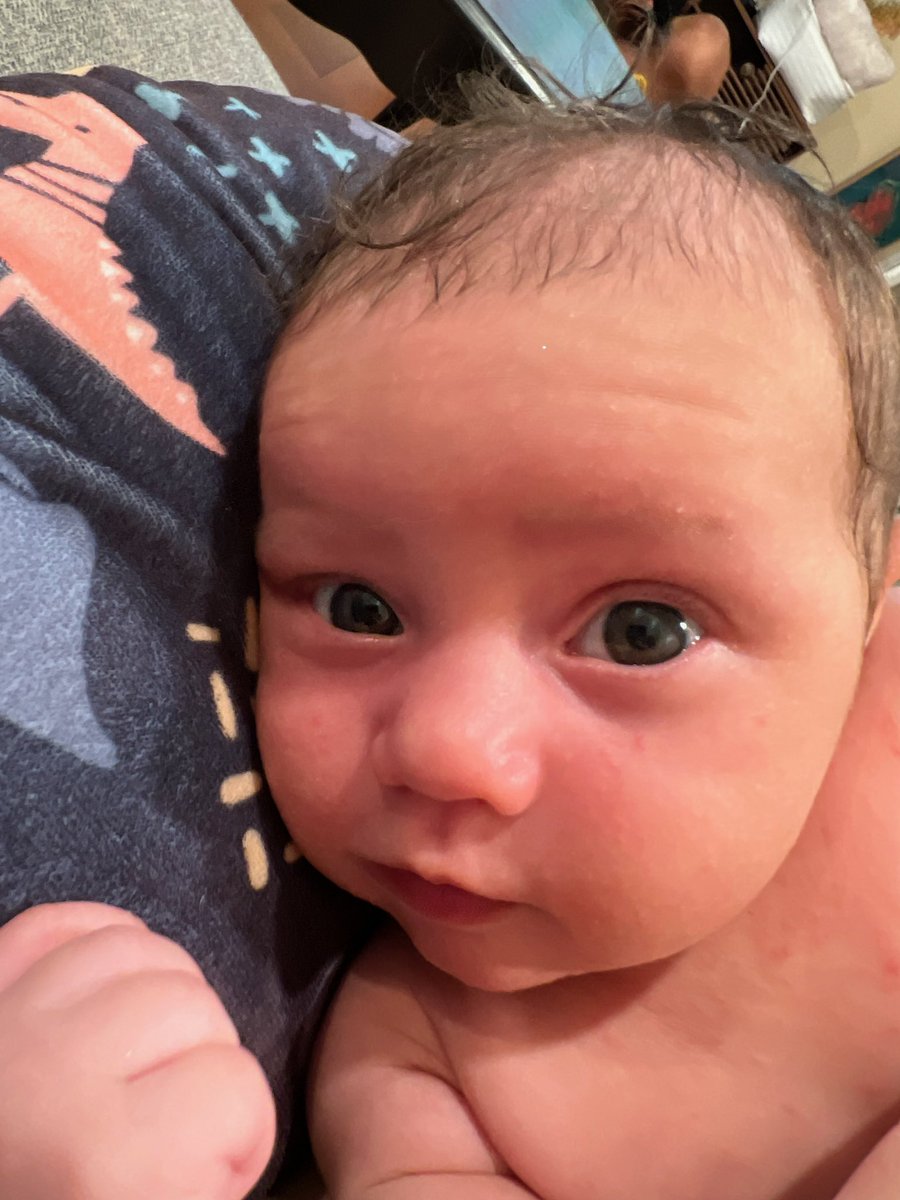 Sarah Puglisi tweet media