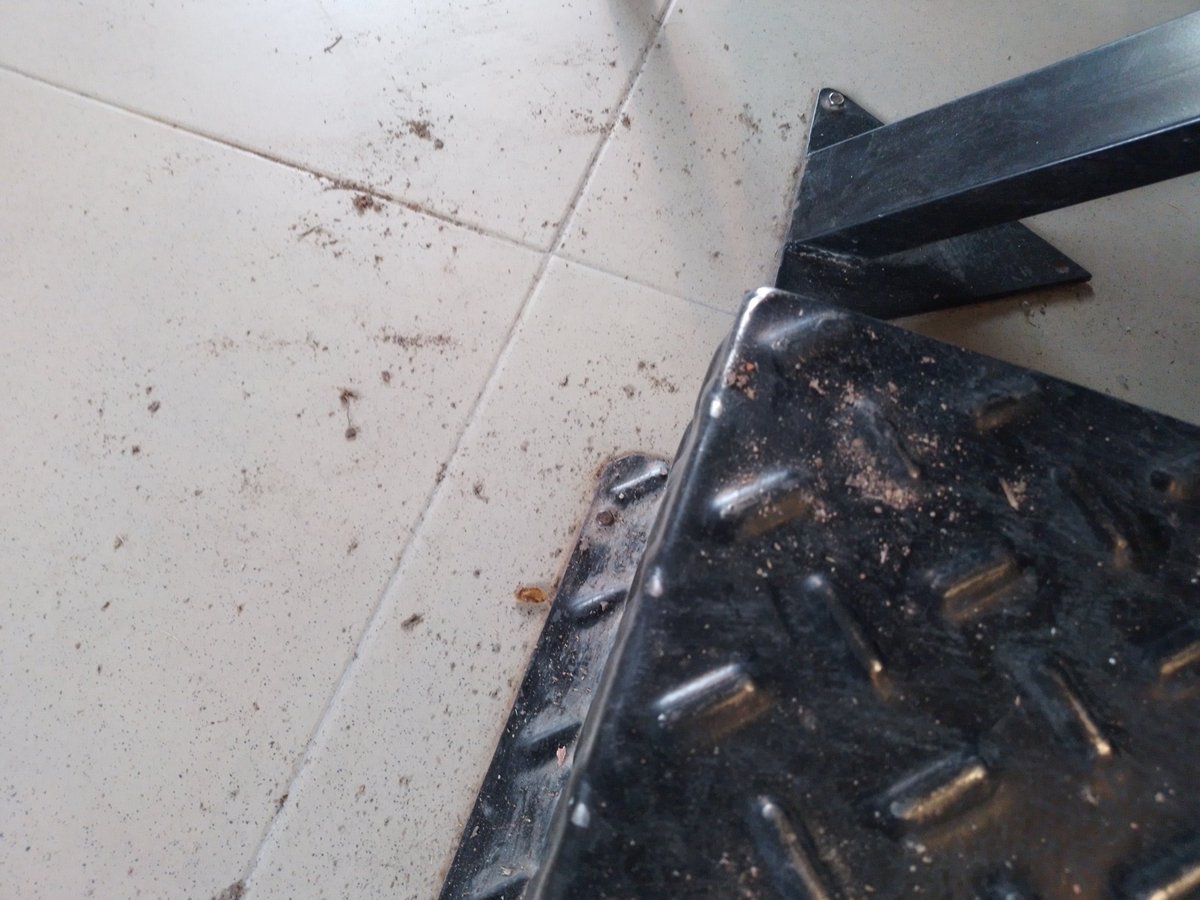 el plan c tweet media