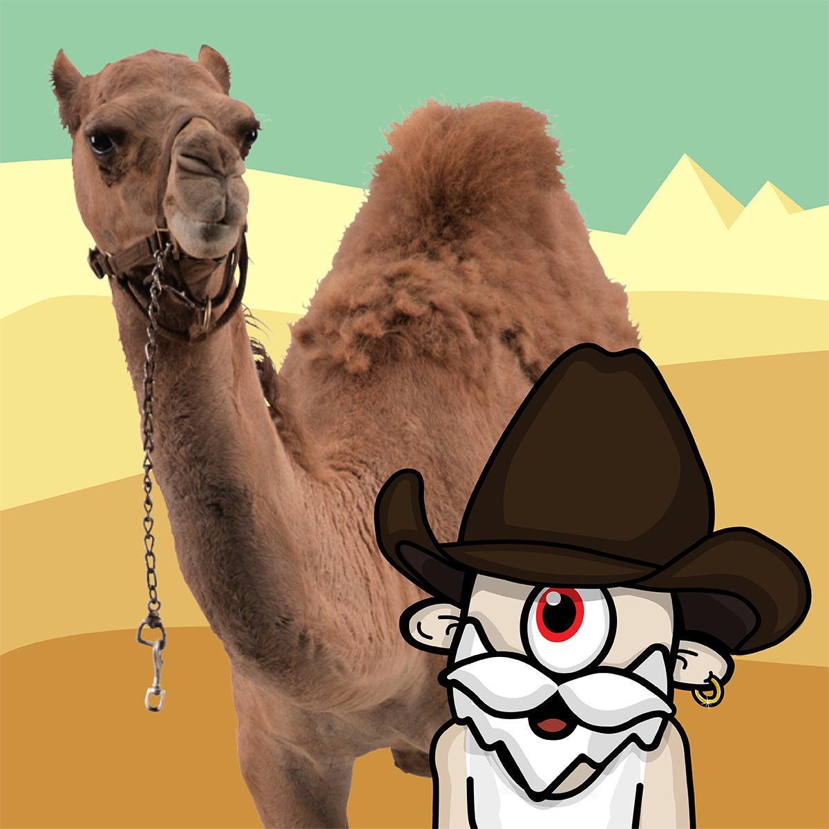 IT’S WEDNESDAY!!🍄🐪