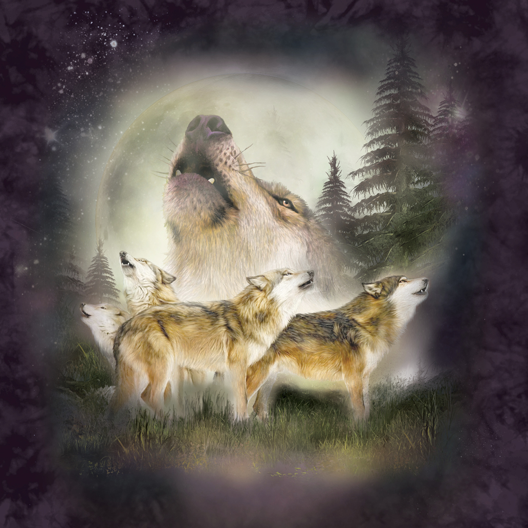 MountainArtwear's tweet photo. *SWEEPSTAKES* We are giving away this Wolf Moon Rising t-shirt to one lucky #MountainCrew fan! Head over to our Facebook page and enter to win. Good luck!
Shop the tee: https://t.co/qOiolJ5Vwj
#sweepstakes #tshirt https://t.co/vl32Q9Jy6r