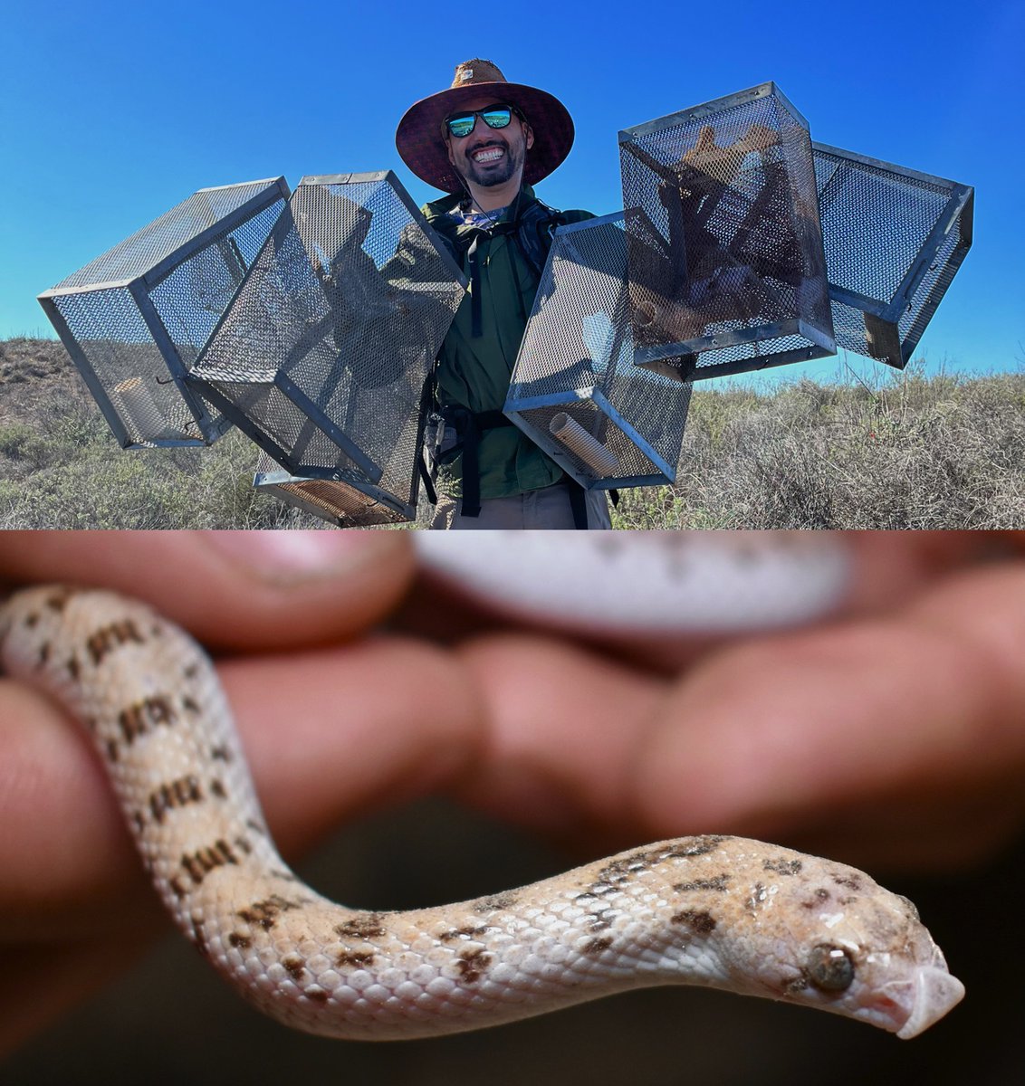 Cabrillo National Monument (@cabrillonps) on Twitter photo What is a snake’s favorite subject in school? 🐍Natural hisssssstory. Meet Frank the #herpetologist at Junior Scientist Days this weekend! ow.ly/9P8p50KCPxq
<a href="/sd_fdn/">San Diego Foundation</a> <a href="/SanDiegoCounty/">SanDiegoCounty</a> #JuniorRanger #EcoLogik #STEM #Nature #Science #Snakes #Reptiles #Wildlife #NPS What is a snake’s favorite subject in school? 🐍Natural hisssssstory. Meet Frank the #herpetologist at Junior Scientist Days this weekend! ow.ly/9P8p50KCPxq
<a href="/sd_fdn/">San Diego Foundation</a> <a href="/SanDiegoCounty/">SanDiegoCounty</a> #JuniorRanger #EcoLogik #STEM #Nature #Science #Snakes #Reptiles #Wildlife #NPS