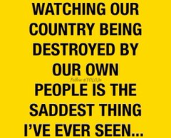 statman07's tweet photo. @OutnumberedFNC BIDEN TRAITOR DESTROY AMERICA https://t.co/B5huWJTvBS