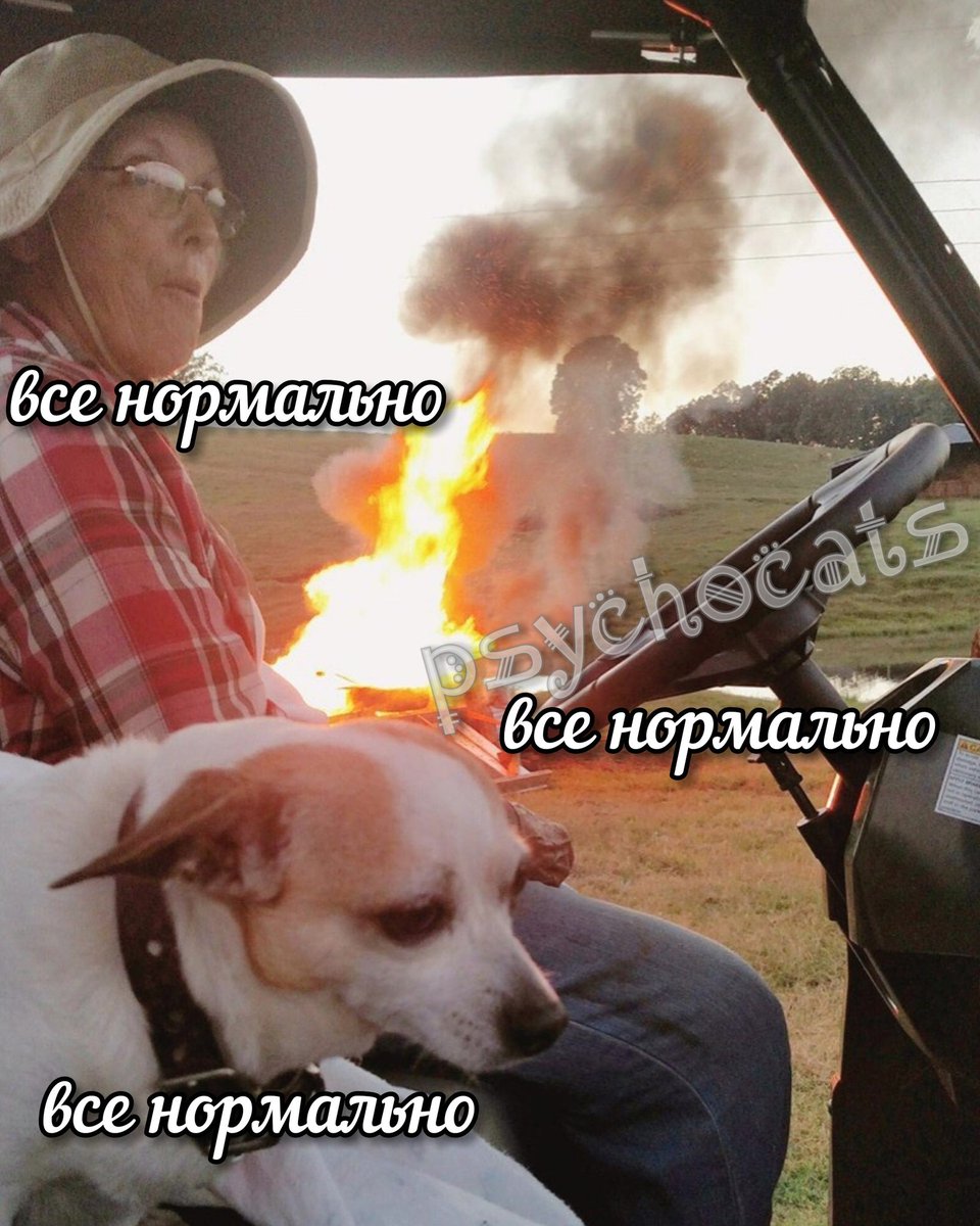 psycho__cats's tweet photo. https://t.co/b1yp4nia0Y