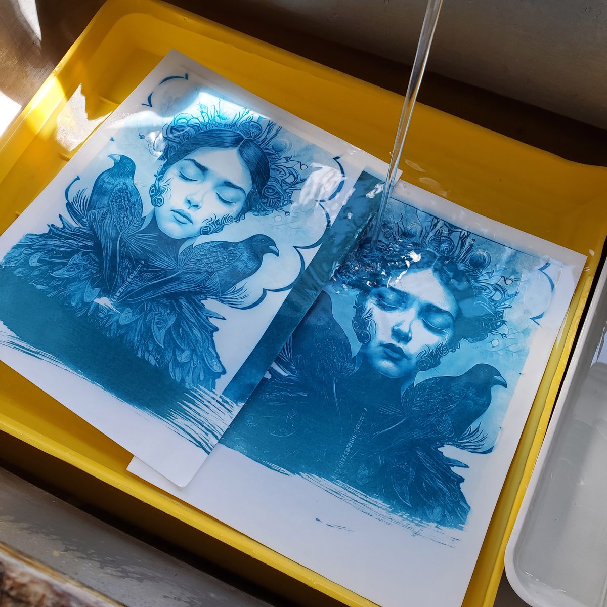 weird_momma_x's tweet photo. Testing 2 different cyanotype curves to make digital negatives. Been a long time so I forgot my workflow. I'm getting it dialed in again. Also enjoying finding other ways to use all the images I'm generating
#cyanotype #altprocess #photography #digitalnegatives #aiart #midjourney https://t.co/DiaNWISL12