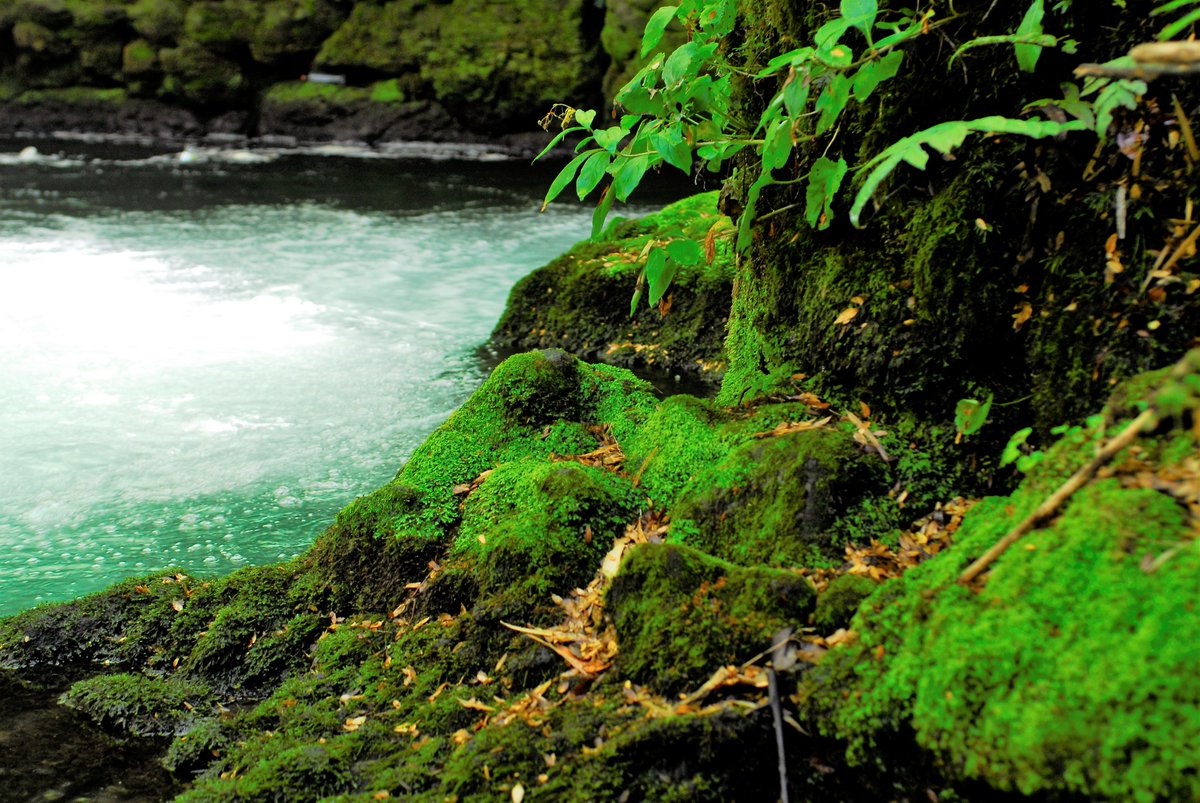 Geoparque Kütralkura tweet media