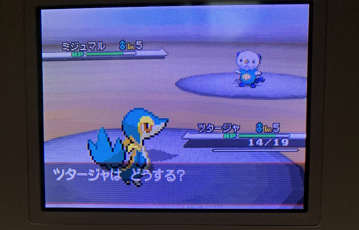 ポケモンgo ツタージャの色違い 入手方法と実装状況 攻略大百科