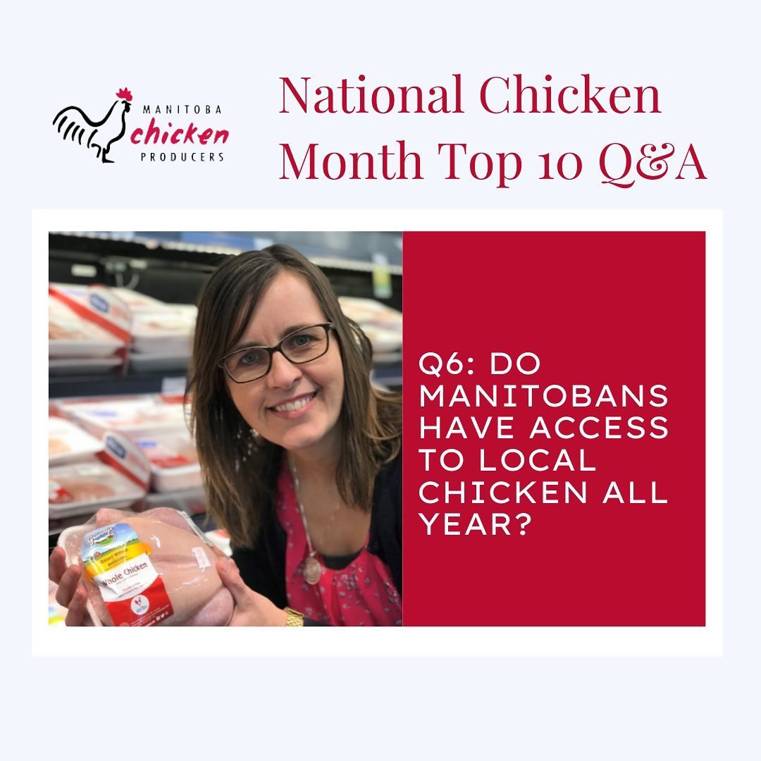 manitobachicken's tweet photo. #NationalChickenMonth top 10 Q&amp;A 6:
Q: Do Manitobans have access to local chicken all year?
A: YES! Manitobans have access to local chicken year-round. Because chicken farmers raise chickens in barns they are able to supply local chicken all year long.
#FarmFoodAwarenessWeek https://t.co/du2ujSXu06