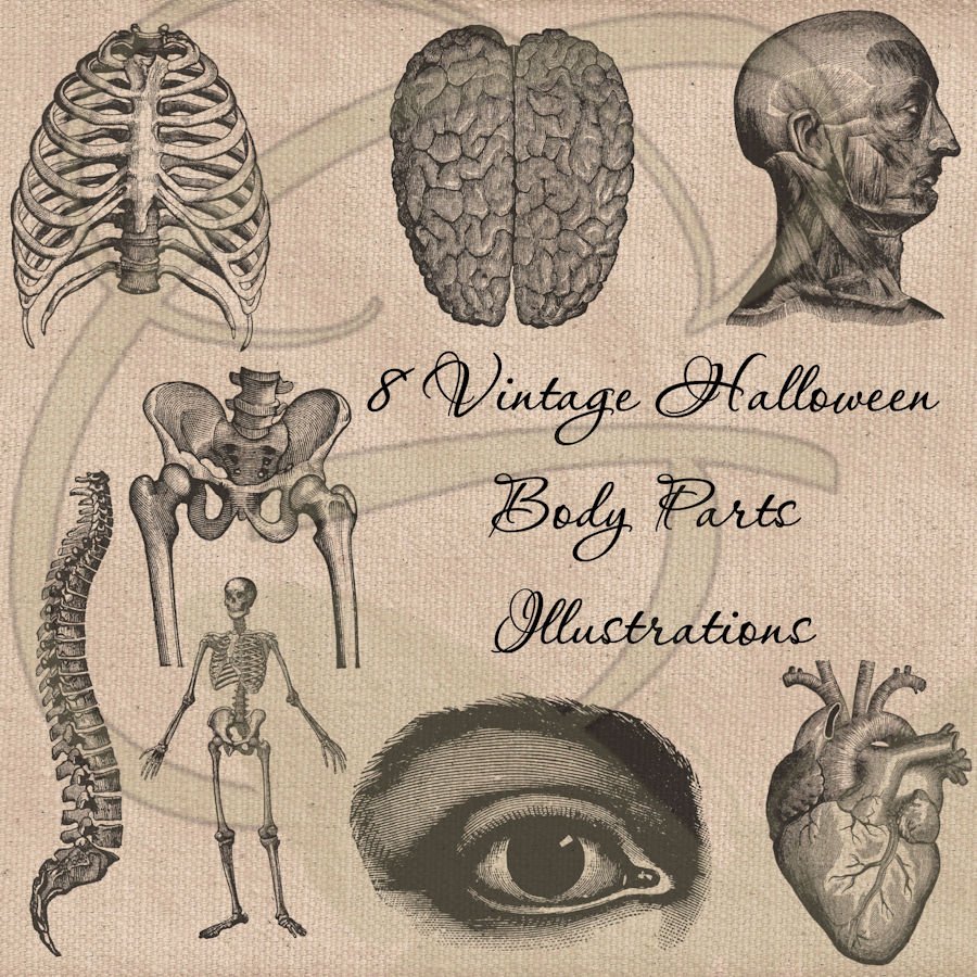 ⭐️⭐️⭐️⭐️⭐️

etsy.com/shop/thegraphi…

#printable #graphicsdesign #digitalart #digitalartwork #etsyshop #EtsySeller #images #Digital #DigitalArtist #create #DIY #collection #overlay #greetingcard #scrapbooking #crafting #craftsupplies #Halloween #spooky