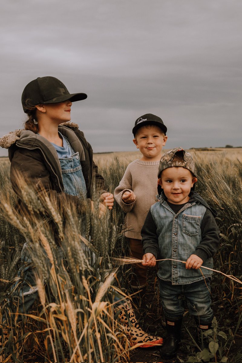 Cornerstone Seed tweet media