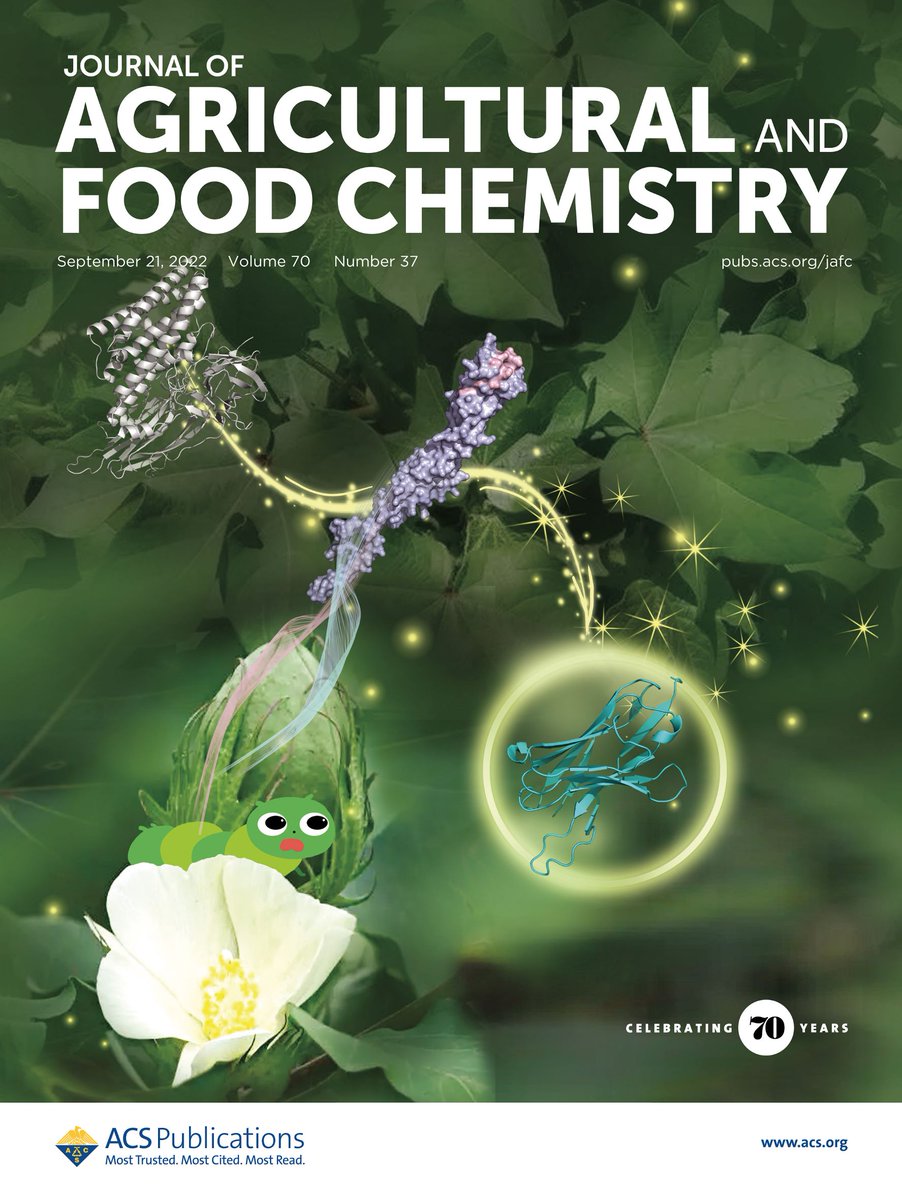 JAgFoodChem's tweet photo. The latest issue of #JAFC is now online!
Our front cover this week shows the generation of human domain antibody fragments as potential #insecticidal agents against Helicoverpa armigera by cadherin-based screening. Check out the article at https://t.co/gBxrncZFUR https://t.co/HSQcCf8o3k