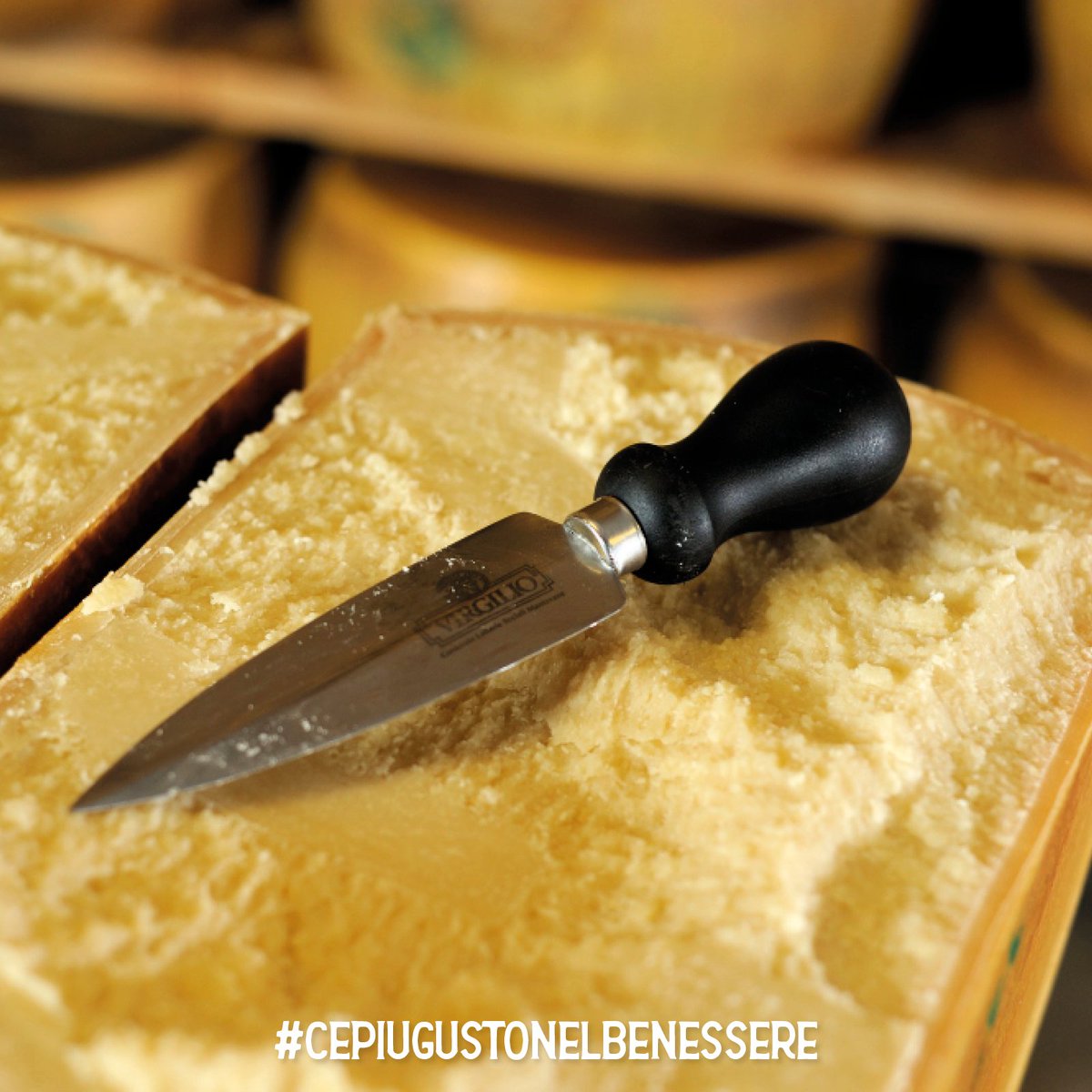 I nostri DOP raccontano una storia unica, fatta di territori generosi, di persone e di culture profondamente legate alle tradizioni e al rispetto della natura e dell’ambiente. Sono prodotti che nascono dalla sapiente lavorazione dei nostri mastri casari.
#cepiugustonelbenessere