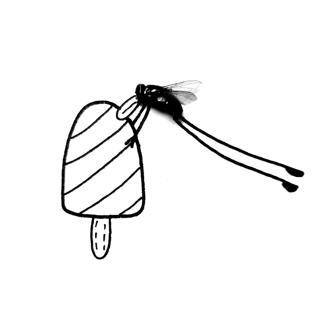 ichingoflamingo's tweet photo. Yummy 😋😋😋

 #doodle #art #mrfly #mrflyart #deadfly #fliegenfischen #fliege #summer #ichingoflamingo https://t.co/ceSbAj2J0R
