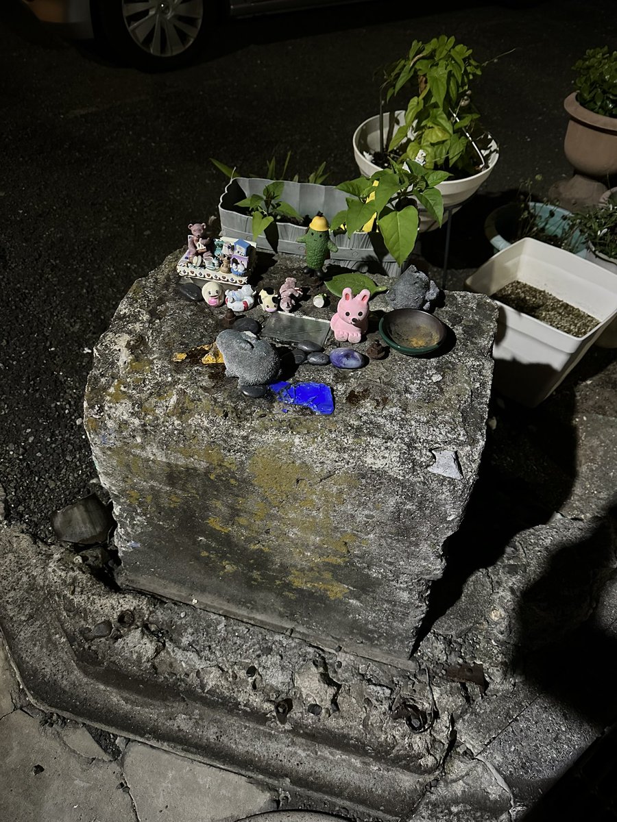 青柳菜摘/だつお tweet media