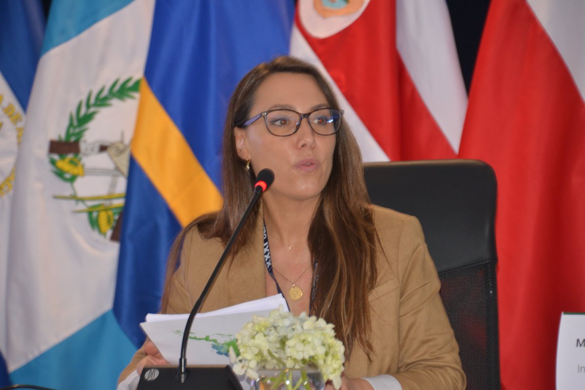 OLACEFS_oficial's tweet photo. #AsambleaOLACEFS
Panel de discusión "Las #EFS en la Emergencia Climática" bajo la moderación de @Contraloriacl https://t.co/oJhxLdjLcX