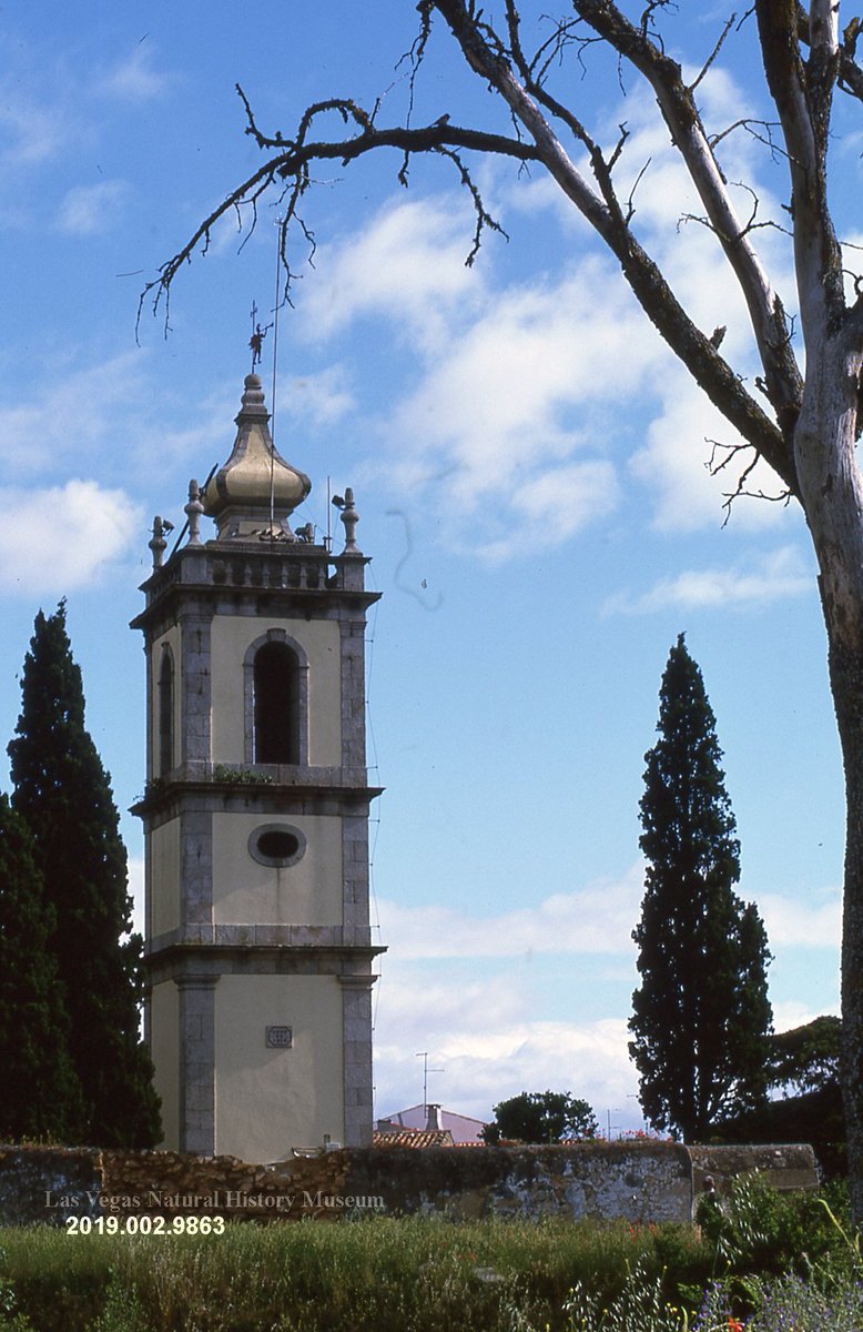 MacDonald Collection #9863
Braganca, Portugal 
Bell tower

#curation #photos #museum #museumarchive #collection
For more information about the collection, contact our Cultural History Collections Manager
@LauraBenedict11