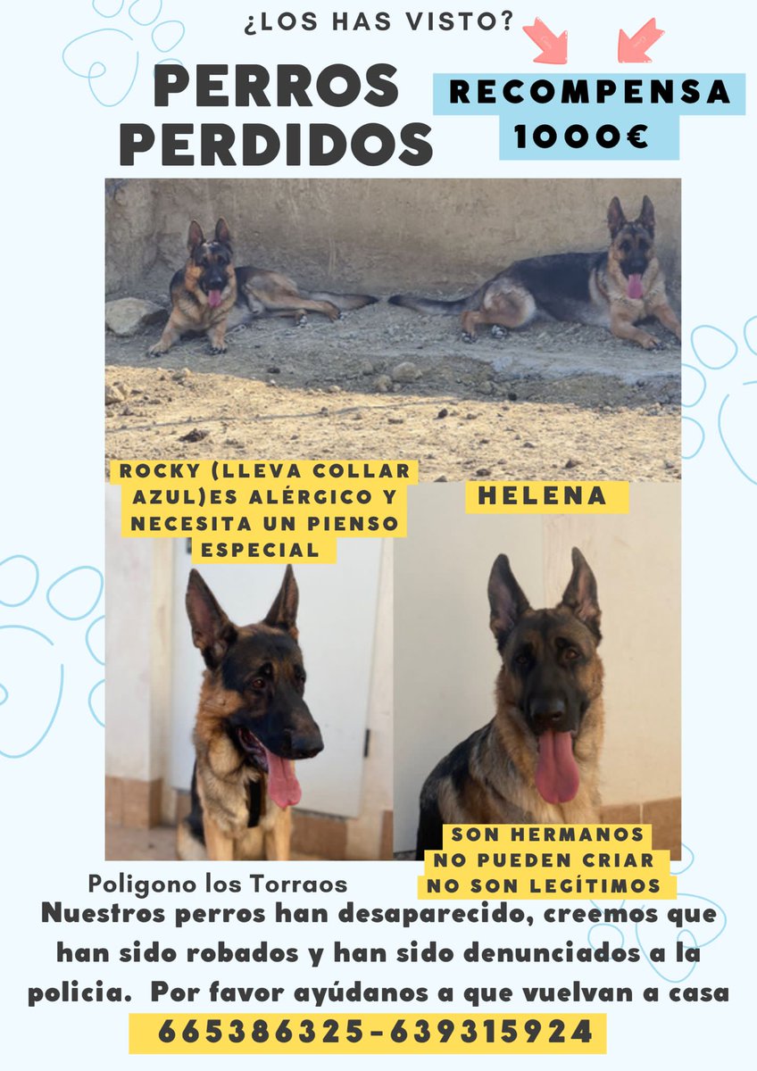 TomasNavarroGil's tweet photo. Ofrecemos 1000€ de recompensa a quien nos los entregue! https://t.co/nP0F2WOQDj