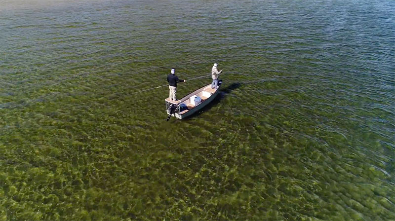 🎣 Watch Now 🎣
bit.ly/2YA8i4d
On this episode of Emerald Tails, Captain Jamie and Captain Nathan take the maiden voyage on their new lightweight technical skiff in search of wintertime redfish. #ETtoweetime #emeraldtailsOD #redfish