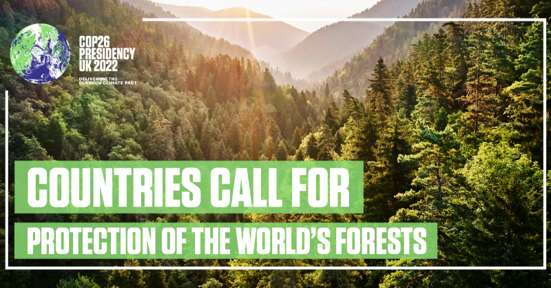 COP26's tweet photo. Today at #UNGA, COP26 President @AlokSharma_RDG and world leaders called for the launch of a Forests and Climate Leaders' Partnership 🌳

The Partnership will work to protect, conserve and restore the world's forests, while promoting sustainable development.

Find out more 👇