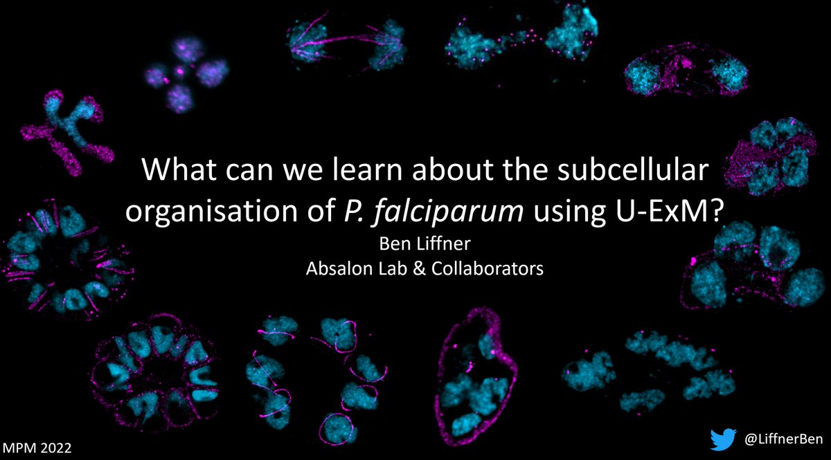 Ben Liffner tweet media