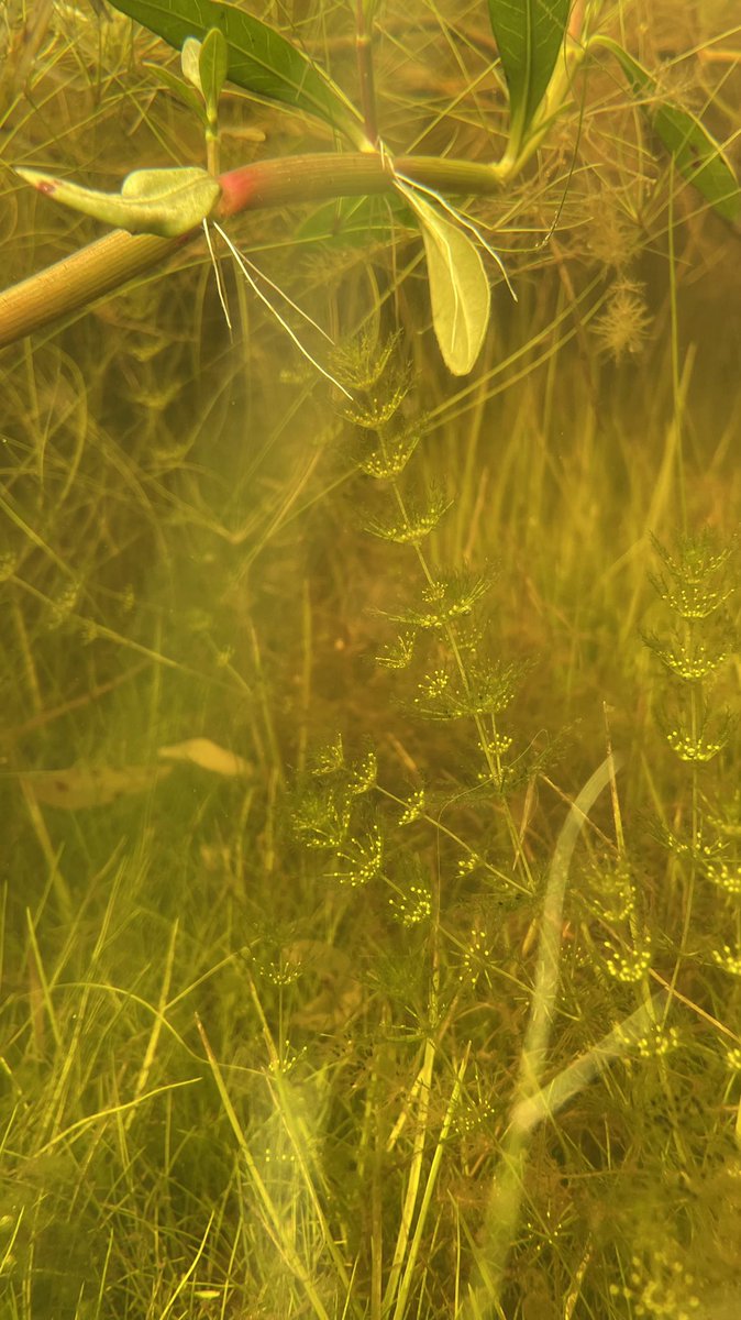 Howard Dunleavy tweet media