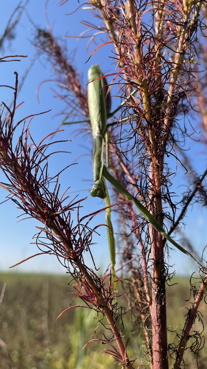 Howard Dunleavy tweet media