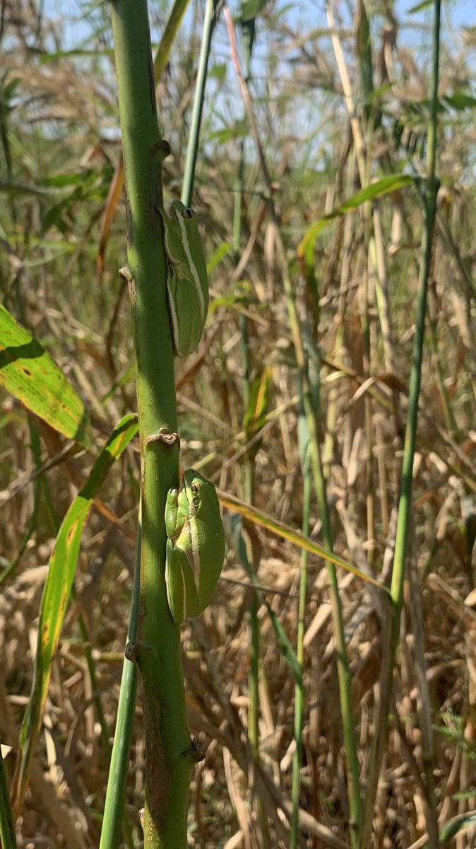 Howard Dunleavy tweet media