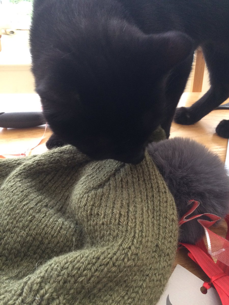 missy_molly_mol's tweet photo. I have had very exciting late afternoon deliveries. First a magnificent khaki bobble #HeroHat knitted by @jamiesonhelen and her talented hands and needles. It has already passed the little cat sniff test https://t.co/wn33ANTe9Q
