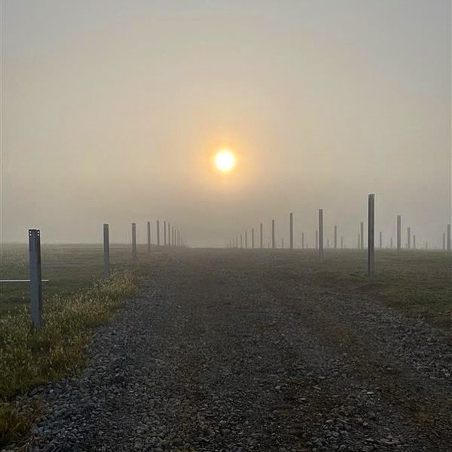 ampacity_llc's tweet image. Another misty morning in the field. 

#comebuildwithus #buildingbrightfields #followthesun