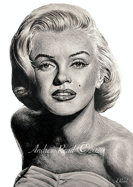 alucard8791's tweet photo. "Marilyn monroe"
#portrait #pencil #drawing #art by #andrewread https://t.co/96urJmE8ST https://t.co/GM2BLkbXhq