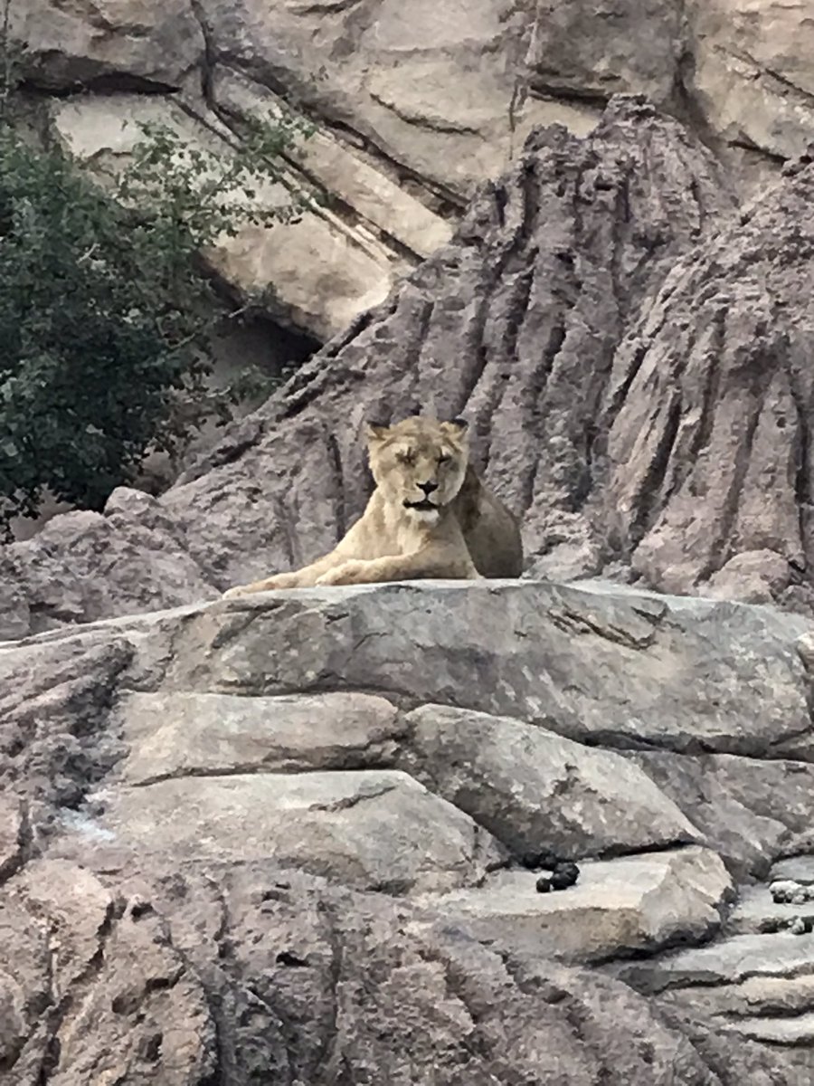 Ericjolly7's tweet image. Great evening celebrating our @CroweUSA clients while rolling out our new Financial Control Analytics offering at #HCSummit.