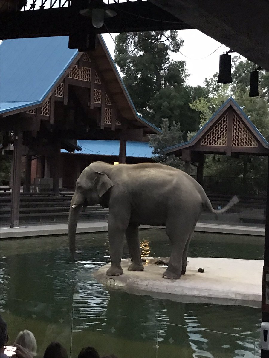 Ericjolly7's tweet image. Great evening celebrating our @CroweUSA clients while rolling out our new Financial Control Analytics offering at #HCSummit.