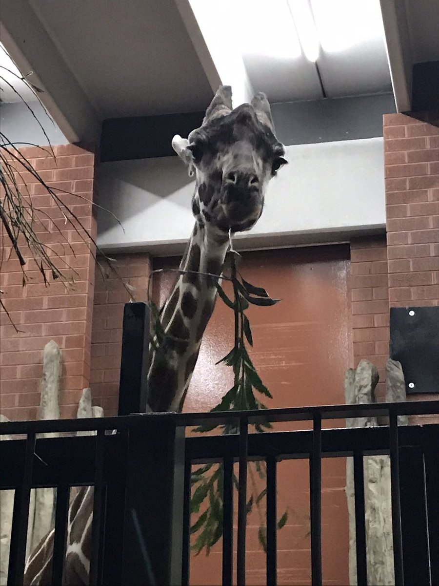 Ericjolly7's tweet image. Great evening celebrating our @CroweUSA clients while rolling out our new Financial Control Analytics offering at #HCSummit.