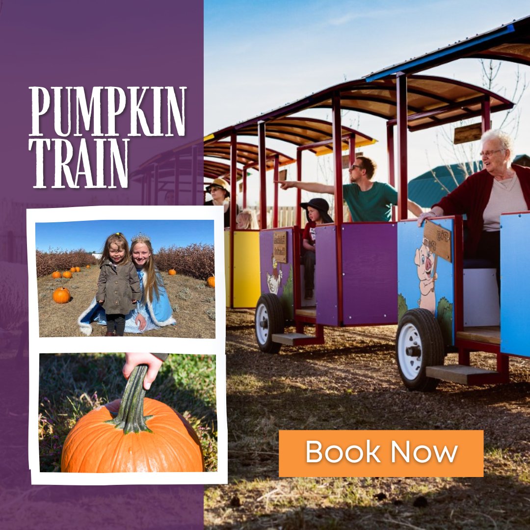 This tour winds around the animal pastures, through the berry orchard, and around the perennial gardens. All with special surprises along the way, including interactions with the sheep, Nubian goats, miniature donkeys, and alpacas. Book now bit.ly/3R9FRpO