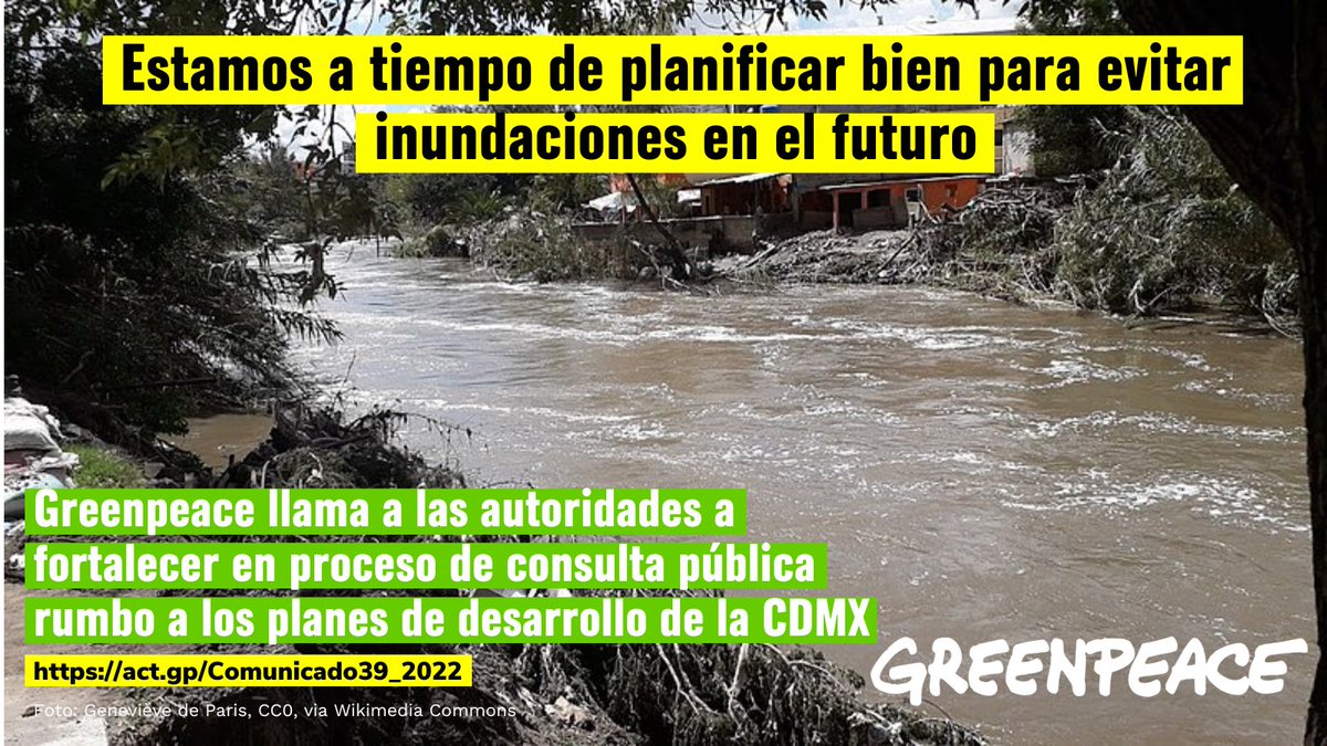 Greenpeace México tweet media