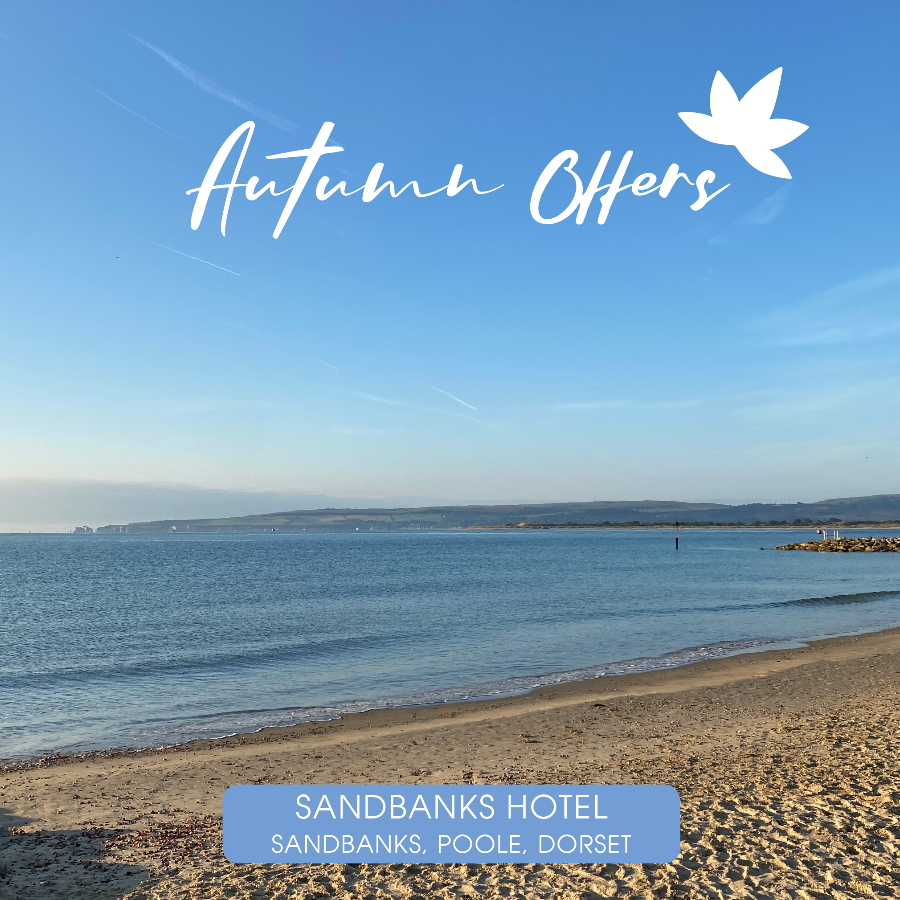 FJB Hotels tweet media