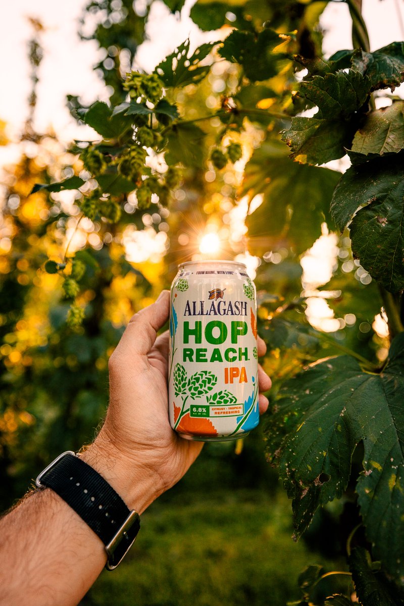 Allagash Brewing Co tweet media