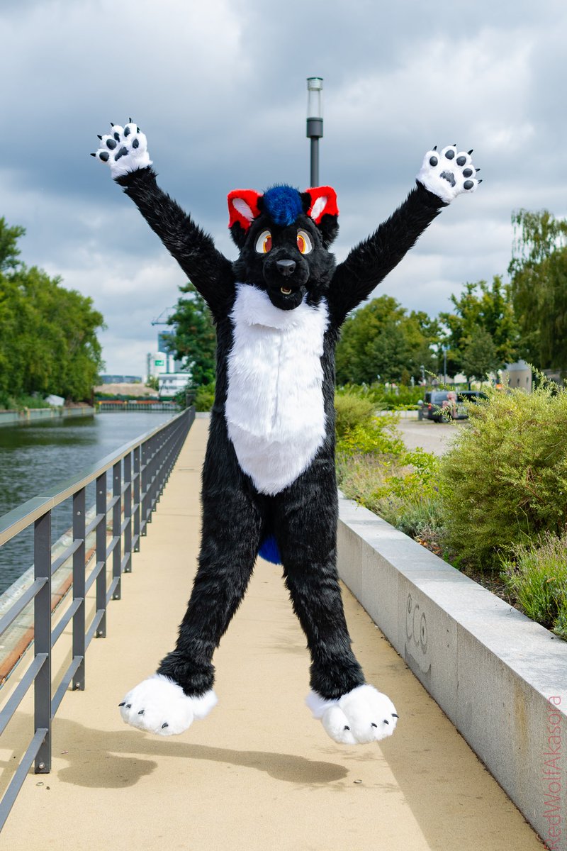 RyuxWolf's tweet photo. Hello twitter-peeps! :D 
Im a young Wolf from Bavaria who really likes to photograph! :3 

My Telegram: @RyuxWolf 

Also my recently taken pics: https://t.co/QeDmYVl6AS

Art from @BouncerDemon 
🎈pic: @kamsirius 
Rl-pic: @ToasterTheFox 
Jumping-pic: @RedWolfAkasora https://t.co/63TNXRNboZ