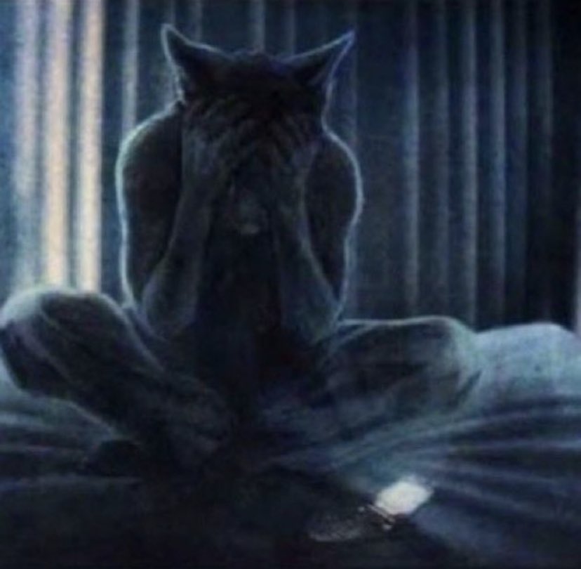 TGSudoku on Twitter "RT reactjpg wolf man alone sitting on bed in dark bedroom head in hands